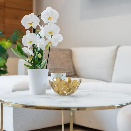 Chilliapartamenty- Zielone Tarasy- Aleksander * Колобжег